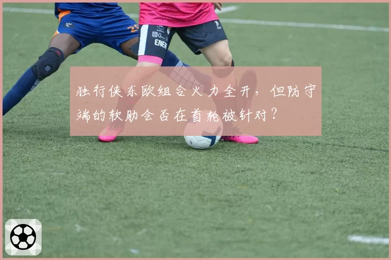 独行侠东欧组合火力全开，但防守端的软肋会否在首轮被针对？