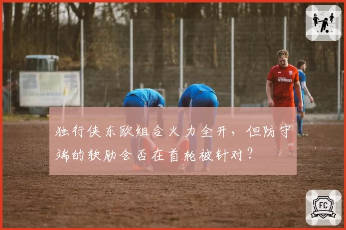 独行侠东欧组合火力全开,但防守端的软肋会否在首轮被针对?